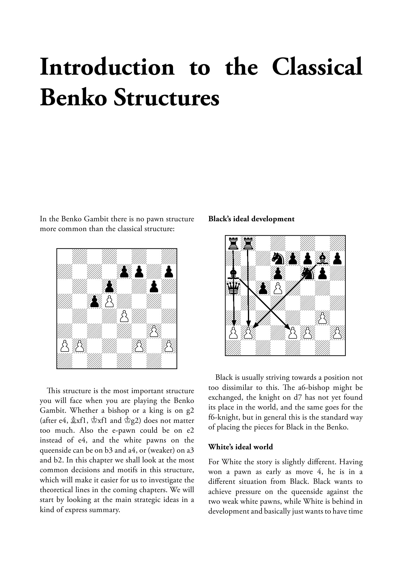 The Benko Gambit by Jan Pinksi (softcover) - The Benko Gambit by Jan Pinksi (softcover)