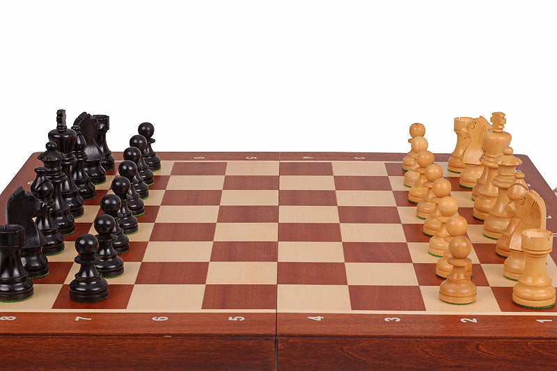 Torneo di scacchi tedesco di Staunton n. 5 - 91b2661f9dcb40c5673bfb3471172c6d