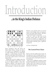 Beat the KID - by Jan Markos