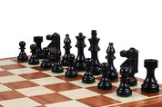 Torneo di scacchi francese di Staunton n. 5