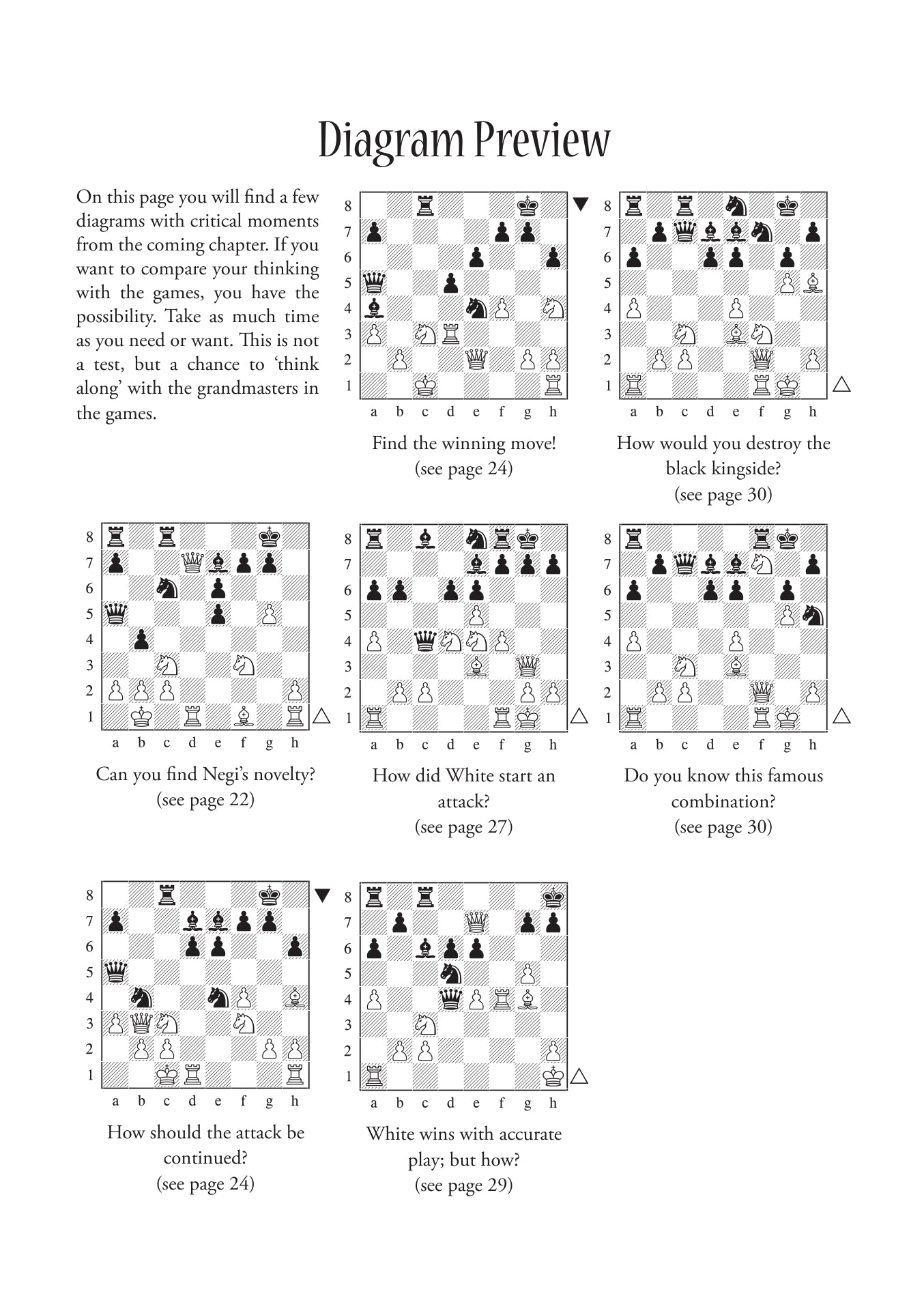 Dynamic Decision Making in Chess by Boris Gelfand (softcover) - Dynamic Decision Making in Chess by Boris Gelfand (softcover)