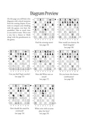 Dynamic Decision Making in Chess by Boris Gelfand (softcover)