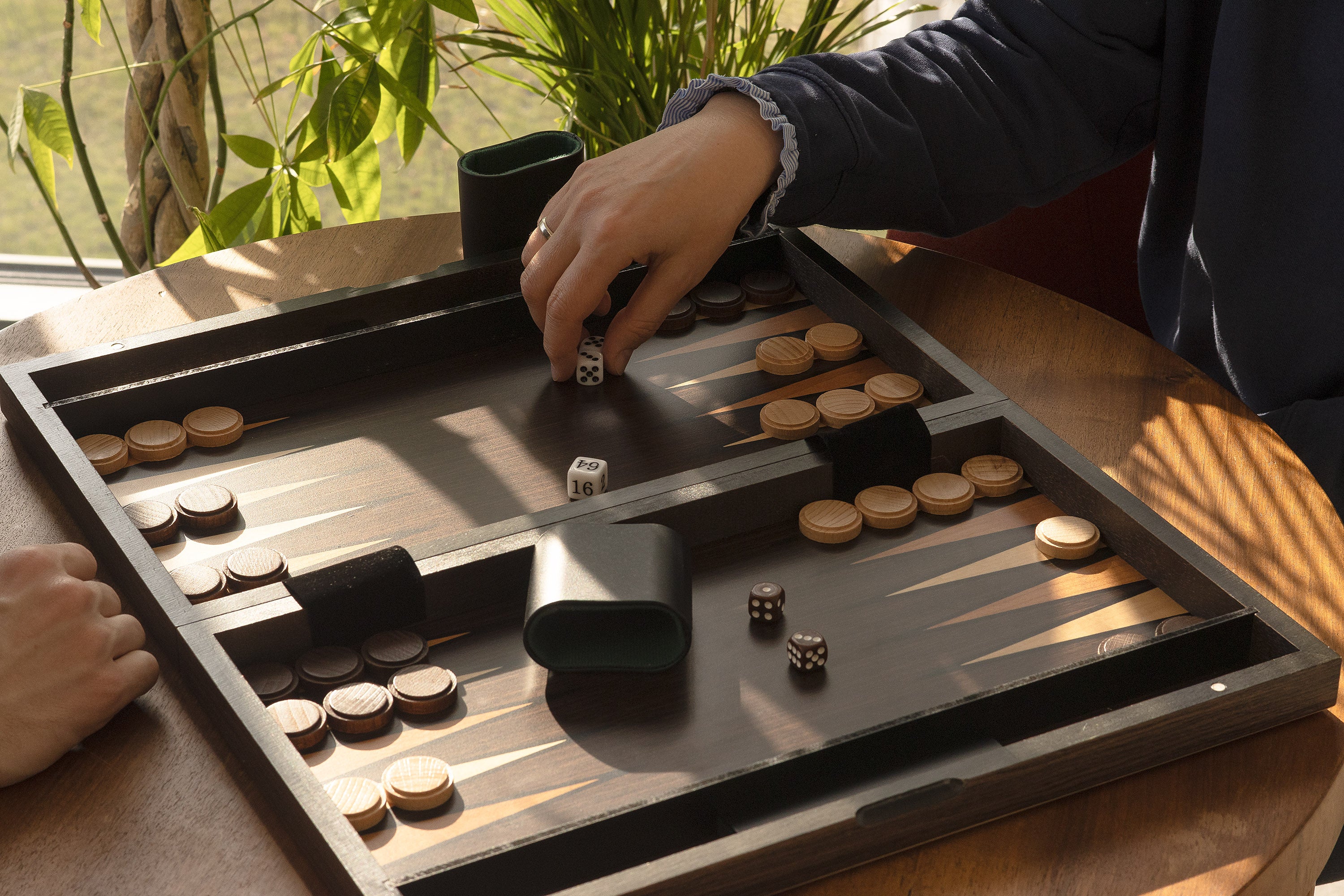 L4_BACKGAMMON_9_6c436558-a6bd-48f5-9d7e-0b448cfa81cd.jpg