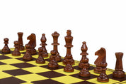 Tournament Pro (CHW26ARTx1 +CHTX55PHMx1 +CHTX9Vx1)